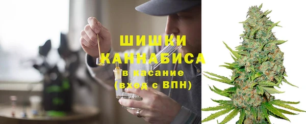 прущая мука Арсеньев