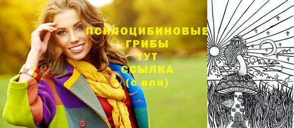 прущая мука Арсеньев