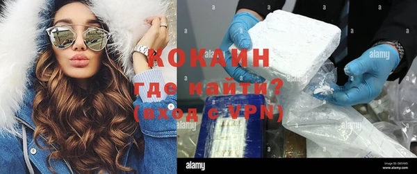 соль ск Алексин